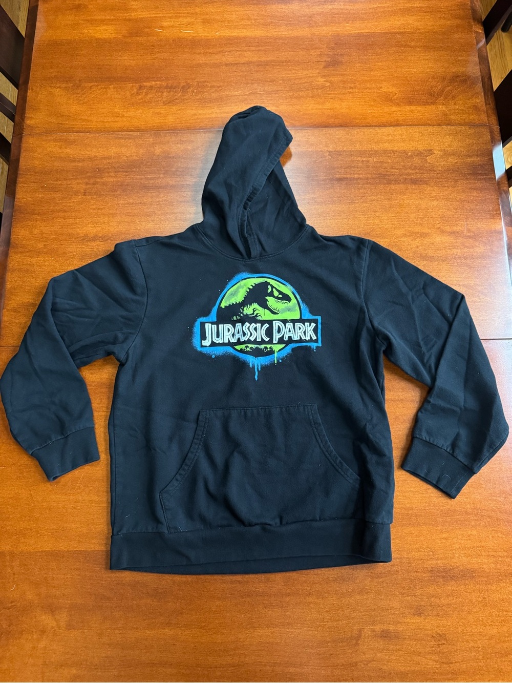 Jurassic Park Boys XL Black Hoodie Neon T-Rex Dinosaur Graphic